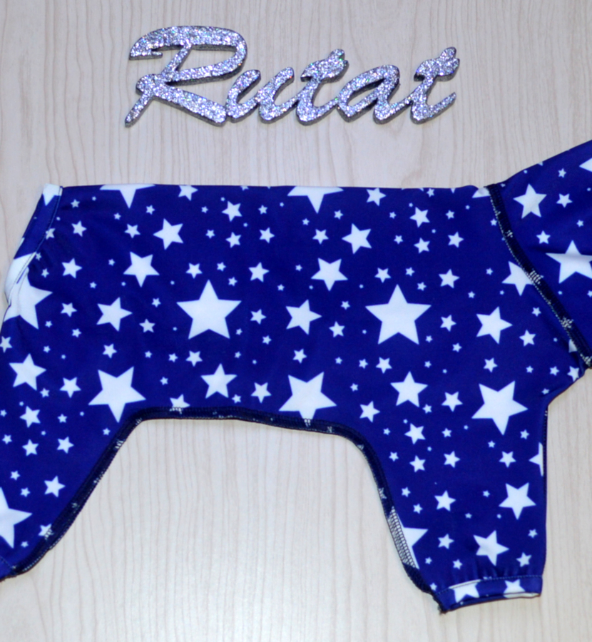 картинка Комбинезон для Йорка - Звезды на синем на папильотки от зоомагазина Rutat